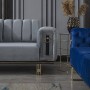 Liona Luxury Salon Takımı