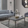 Sesile Salon Takımı İndirimli Mobilya