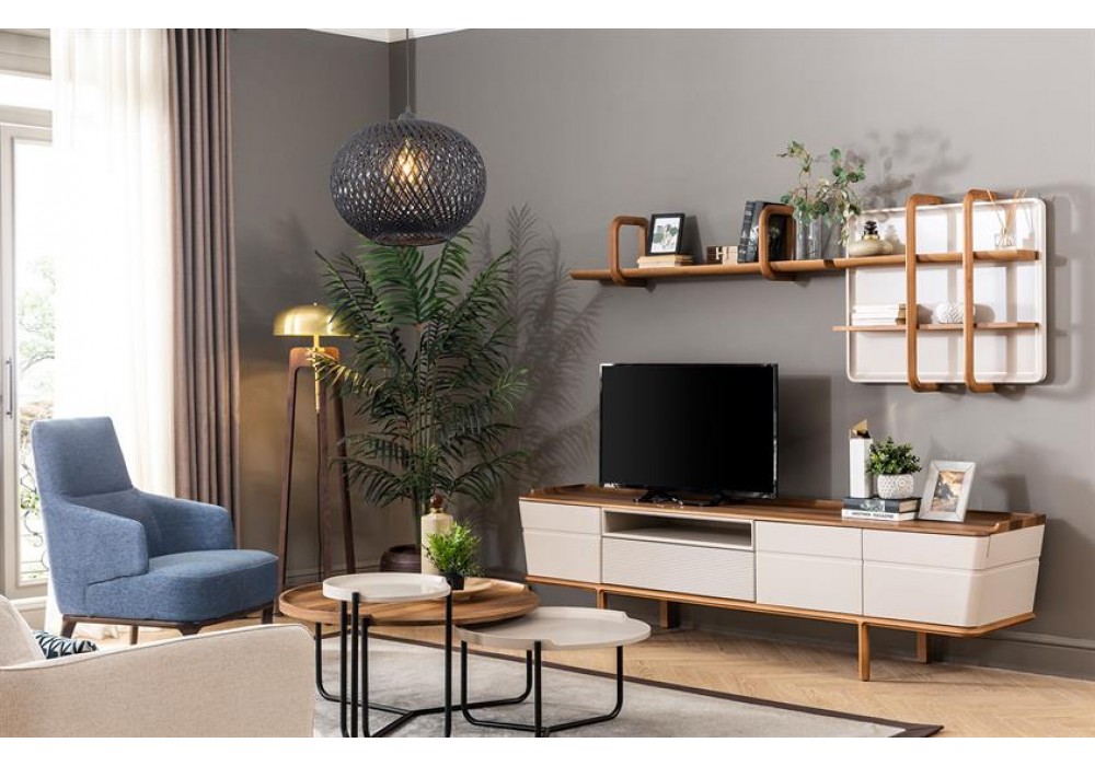 Rolin Tv Ünitesi
