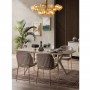 Royal Gold Metal Ayaklı Yemek Odası Takımı Yemek Odası Royal Gold Metal Ayaklı Yemek Odası Takımı Yemek Odası