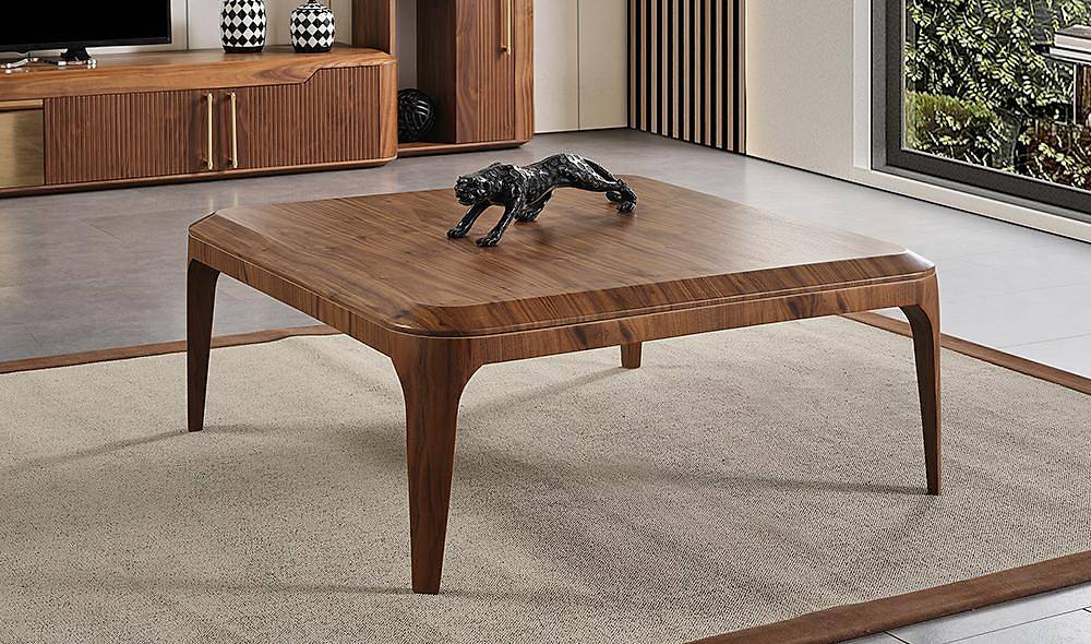 Ahşap Modern Orta Sehpa İndirimli Mobilya