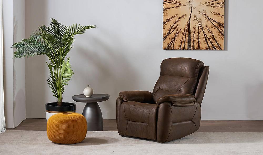 Torenna Tv Koltuğu Tv & Baba Koltuğu