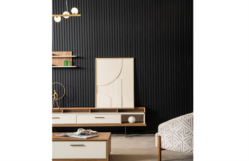 Dream Tv Ünitesi TV Ünitesi