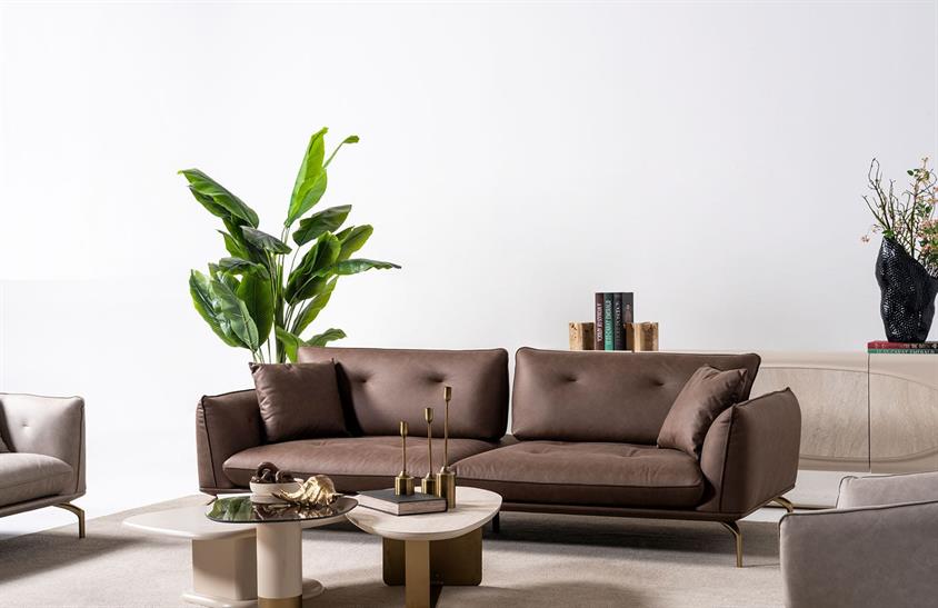 Vintorina Koltuk Takımı Koltuk Takımı