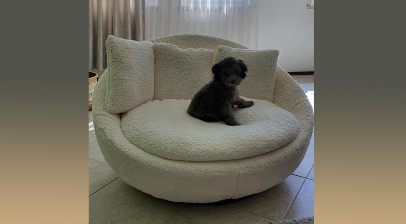 Osso Berjer Tekli Koltuk