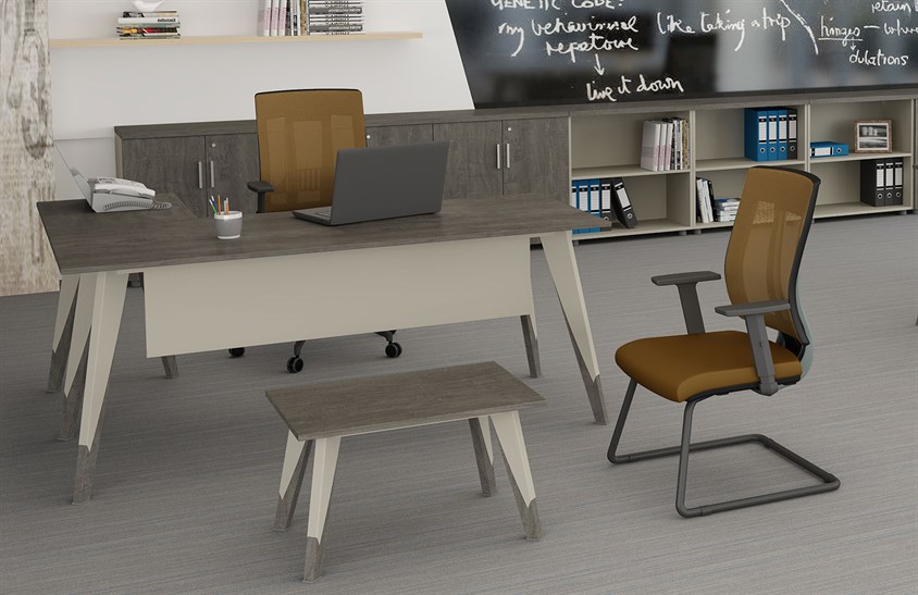 Daine Ofis Mobilyası Takımı Ofis Üst Yönetici Grupları