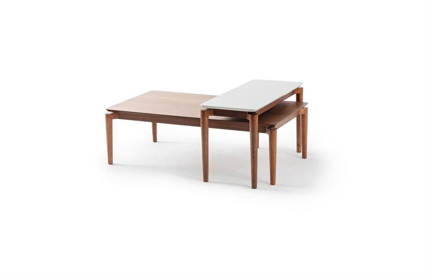 Ilgın Orta Sehpa Seti Sehpa ve Aksesuar