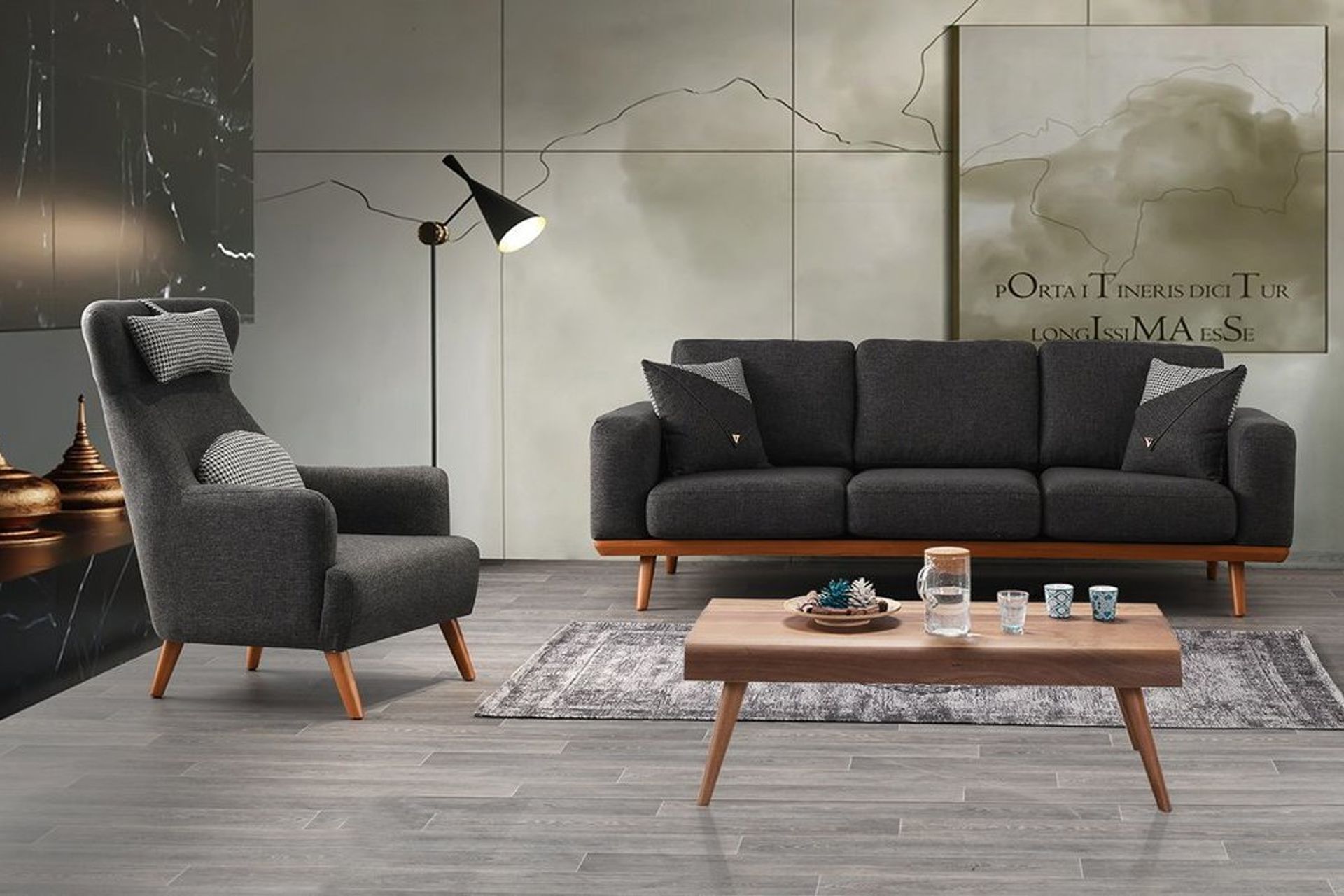 Rio Koltuk Takımı, Antrasit İndirimli Mobilya